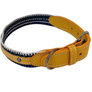 Harness & Collars & Leashes