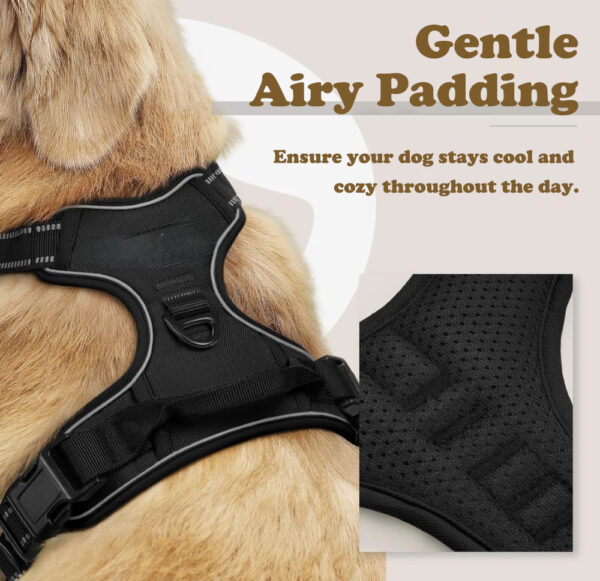 Adjustable Soft Padded Dog Harness - Image 5