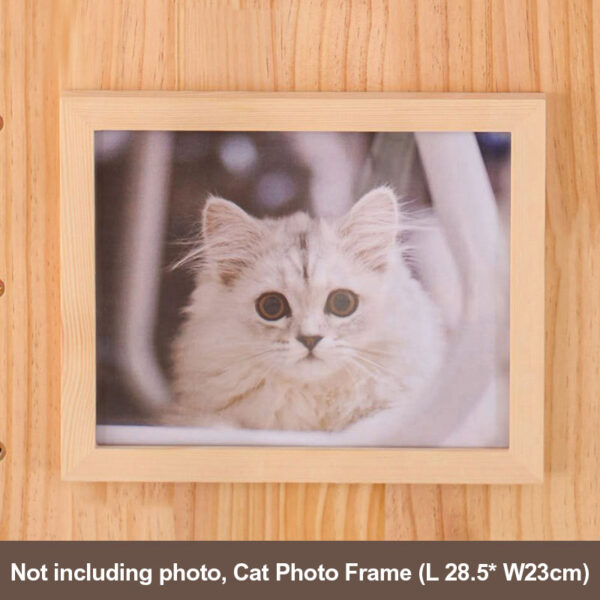DIY Pegboard Cat Wall - Image 12