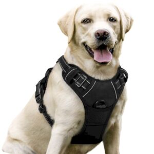 Adjustable Soft Padded Dog Harness