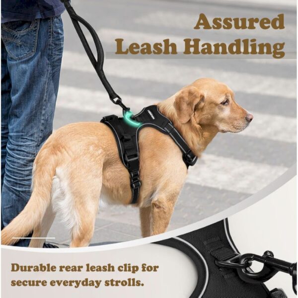 Adjustable Soft Padded Dog Harness - Image 7
