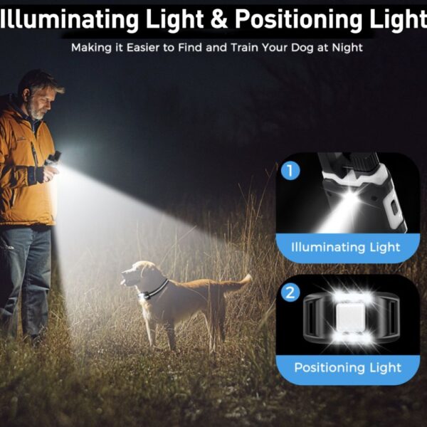 Dog Training Collar - Image 5
