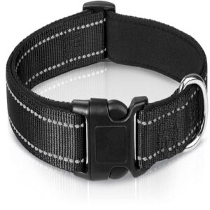 Reflective Nylon Pet Collar