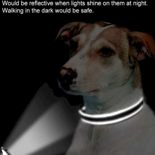 Reflective Nylon Pet Collar - Image 4
