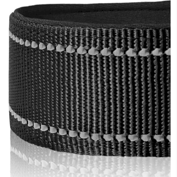 Reflective Nylon Pet Collar - Image 3