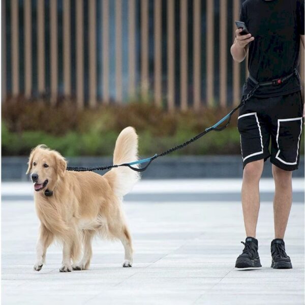 Hands Free Dog Leash - Image 6