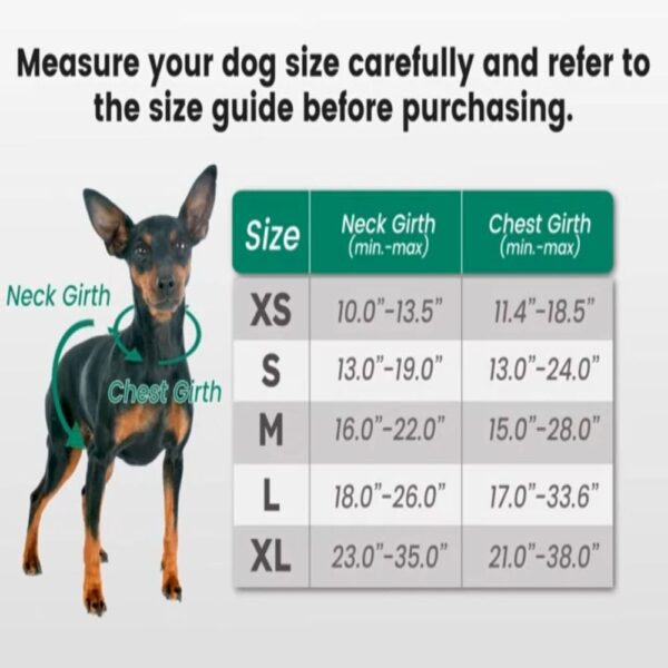 Adjustable Soft Padded Dog Harness - Image 2