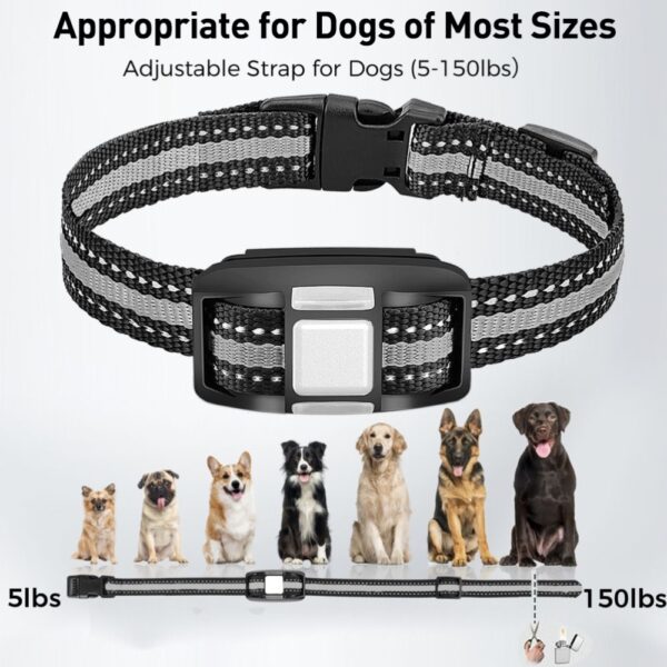 Dog Training Collar - Image 3