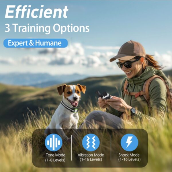 Dog Training Collar - Image 8