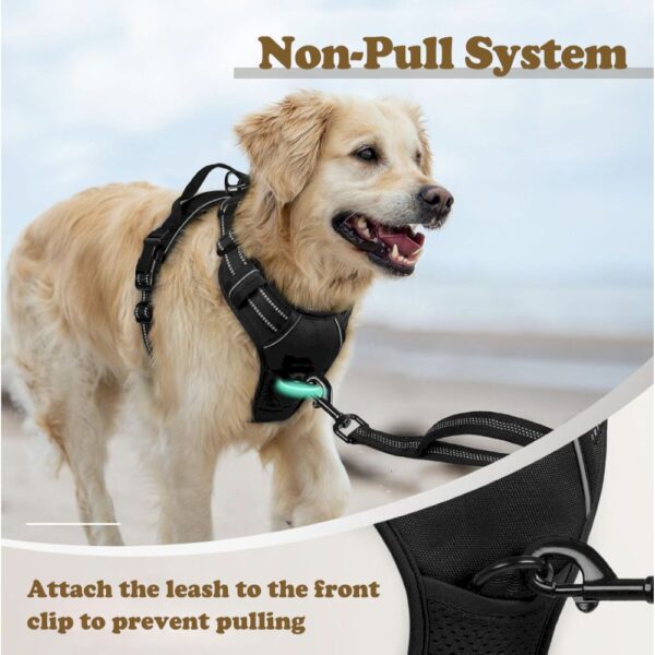Adjustable Soft Padded Dog Harness - Image 6