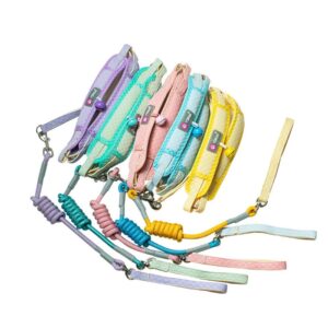 Pet Harness and Leash Set