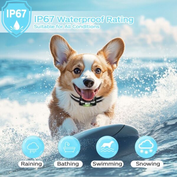 Dog Training Collar - Image 4