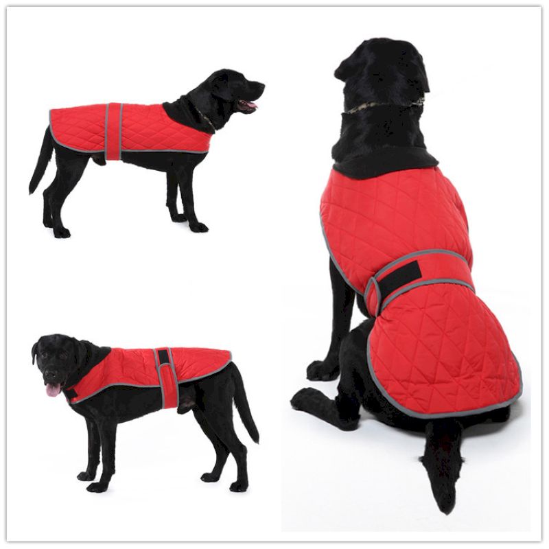Dog Winter Jacket - Image 4