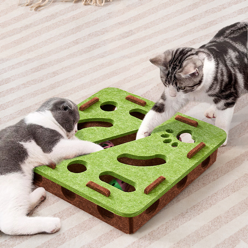 Cat Play Box - Image 7