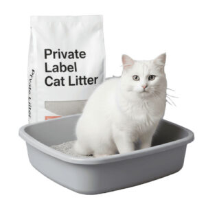Cat Litter