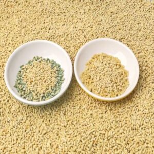 PH Testing of ToFu Cat Litter