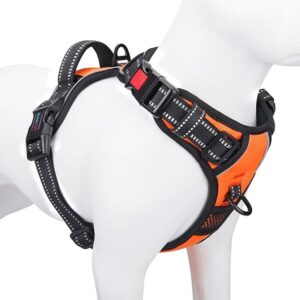 No-Pull Harness for Medium Dogs